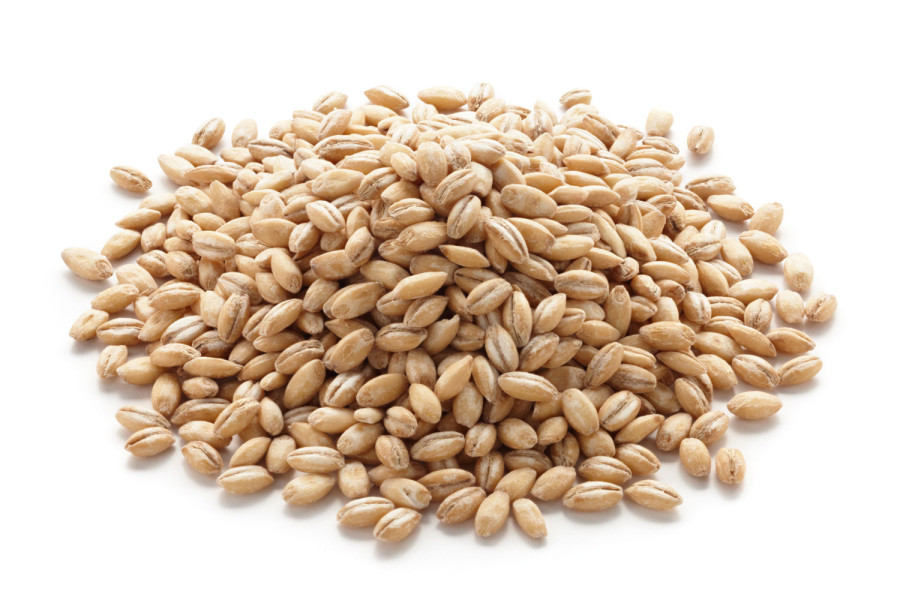 barley